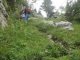 Sentier à la montée