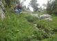 Sentier à la montée