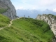 Sentier de la montée à la Tournette