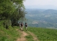 Sentier à la descente