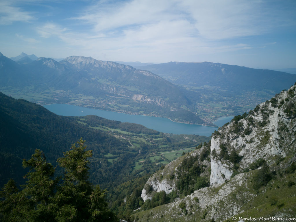 Le Camping Canne B/âton Anti-d/érapante T/élescopique B/âtons De Trekking pour La Randonn/ée Vobor B/âtons De Trekking B/âtons De Randonn/ée R/églables
