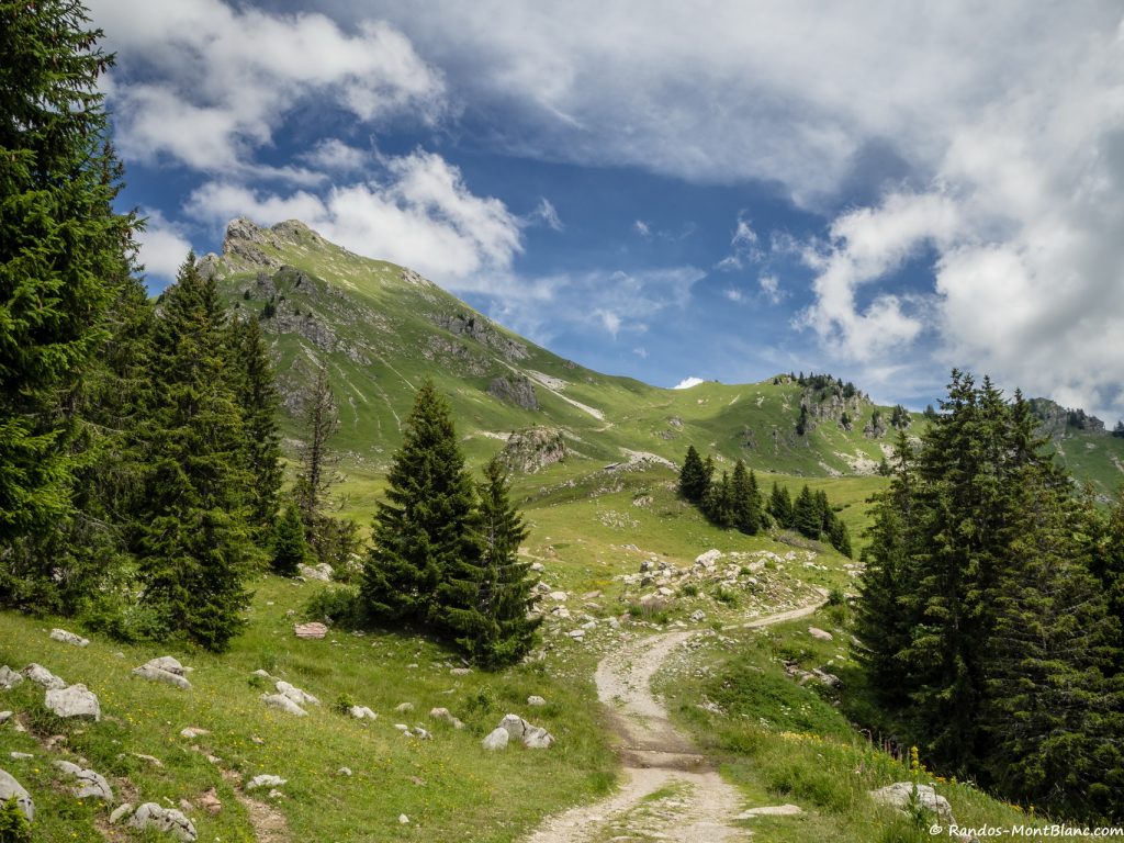 Pointe de Chavasse