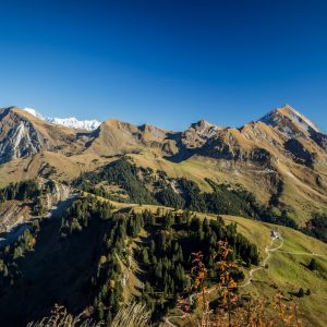 Panorama depuis la Montagne de Sulens