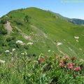 Pointe d'Ardens