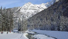 Bois du Bouchet dominé par les Drus