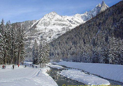 Bois du Bouchet dominé par les Drus