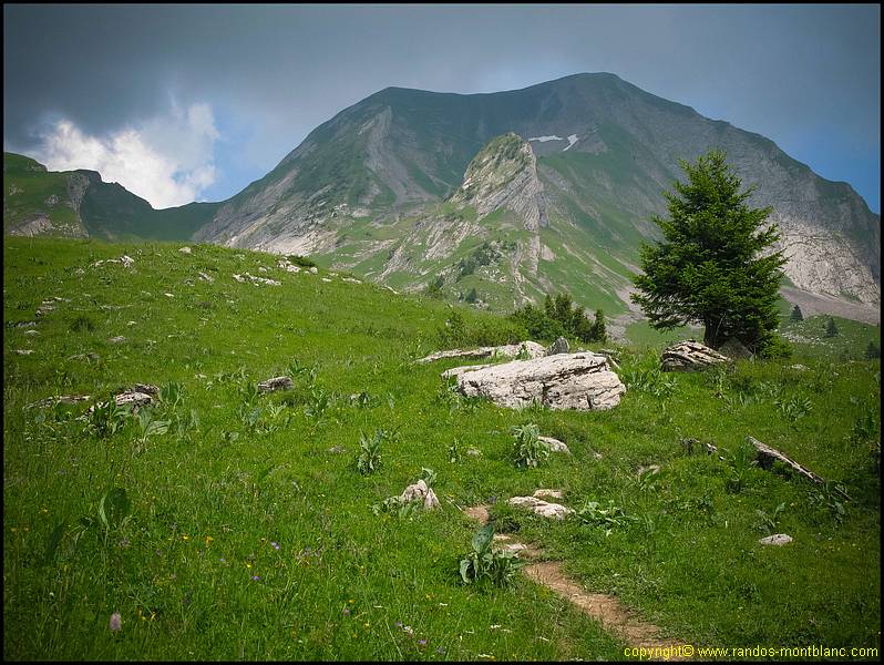 Mont Charvin