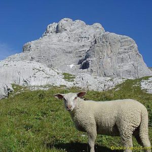 Pointe Percée