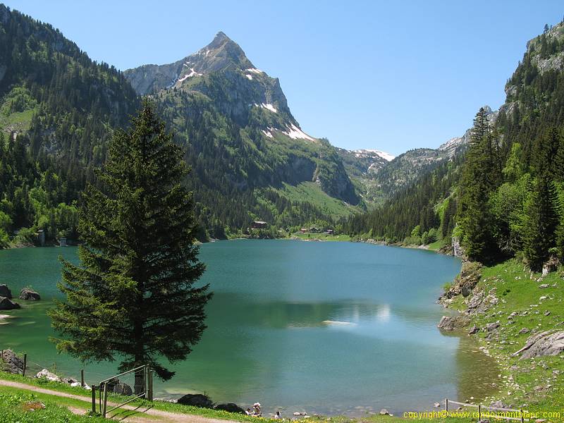 Lac de Taney