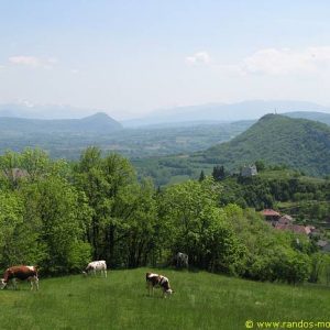 Pâturages non loin du sommet du Vuache